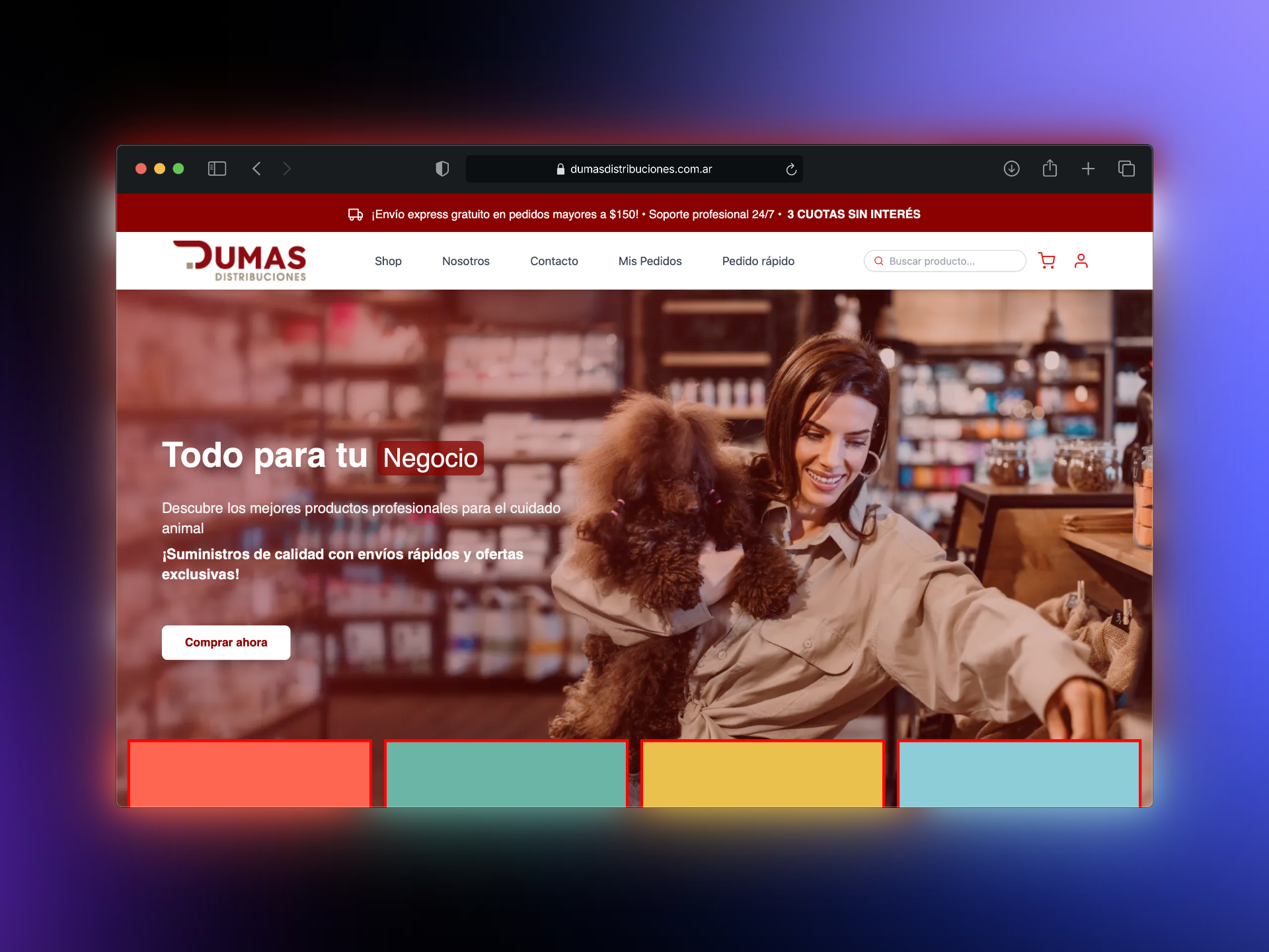 Captura de pantalla del proyecto